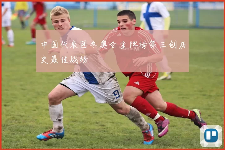 中国代表团冬奥会金牌榜第三创历史最佳战绩