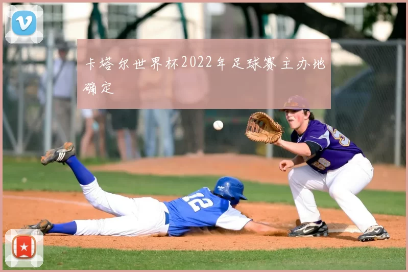 卡塔尔世界杯2022年足球赛主办地确定