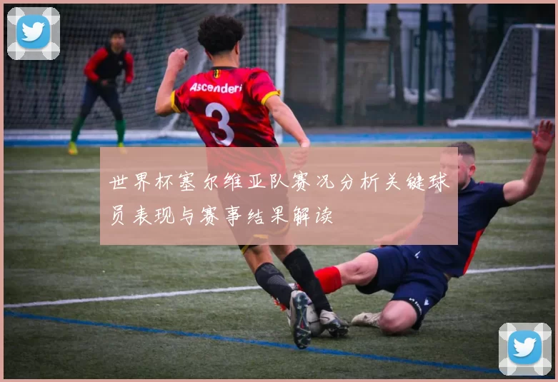 世界杯塞尔维亚队赛况分析关键球员表现与赛事结果解读