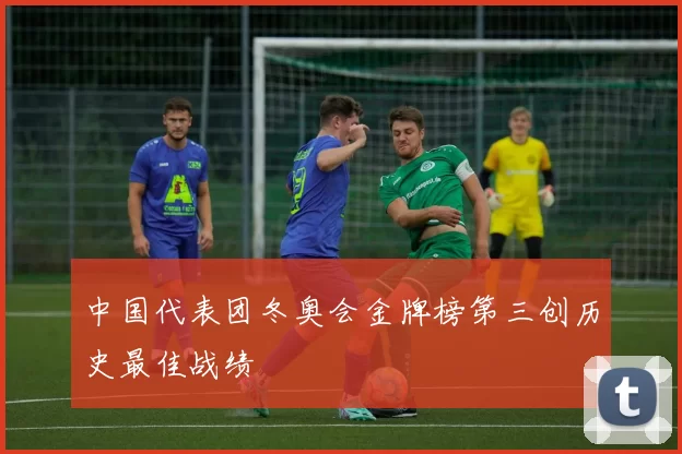 中国代表团冬奥会金牌榜第三创历史最佳战绩