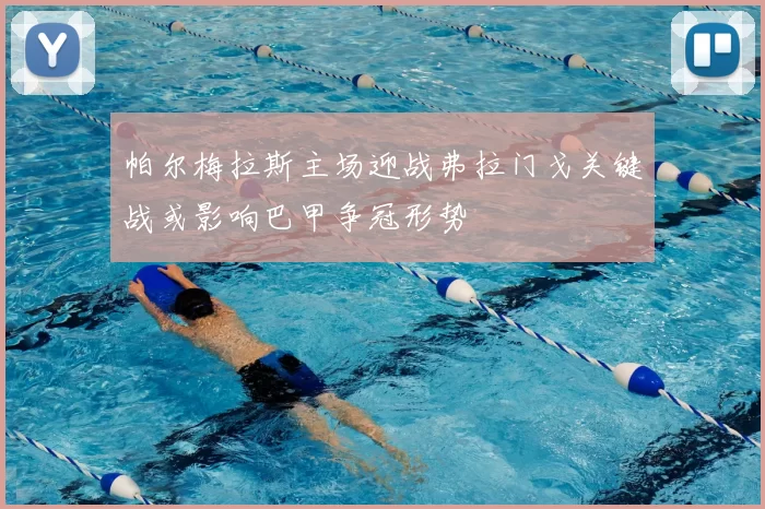 帕尔梅拉斯主场迎战弗拉门戈关键战或影响巴甲争冠形势