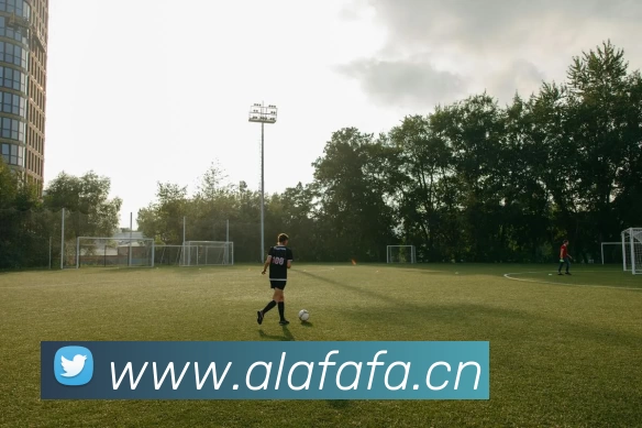 半岛网页版·网站入口 - 半岛online(中国)服务体系